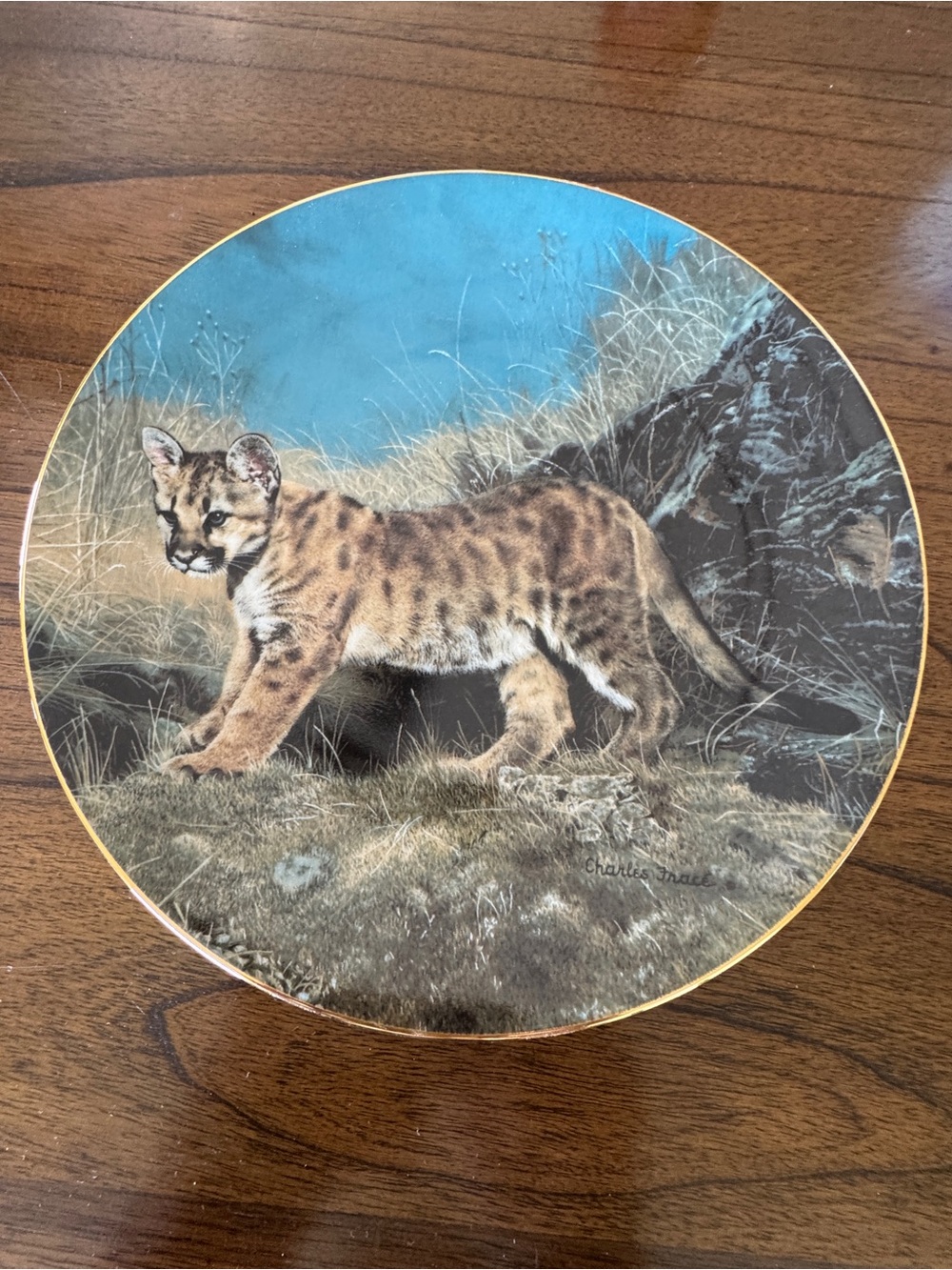 Charles Fracé “Ready for Adventure” Collector Plate
